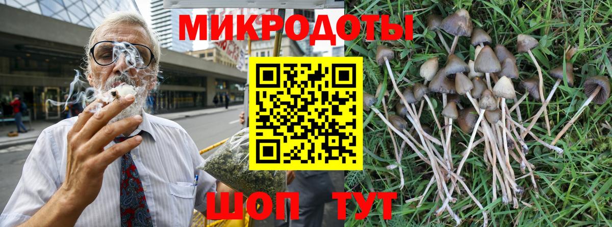 Псилоцибиновые грибы MAGIC MUSHROOMS  сколько стоит  Кулебаки  Вход с VPN 
