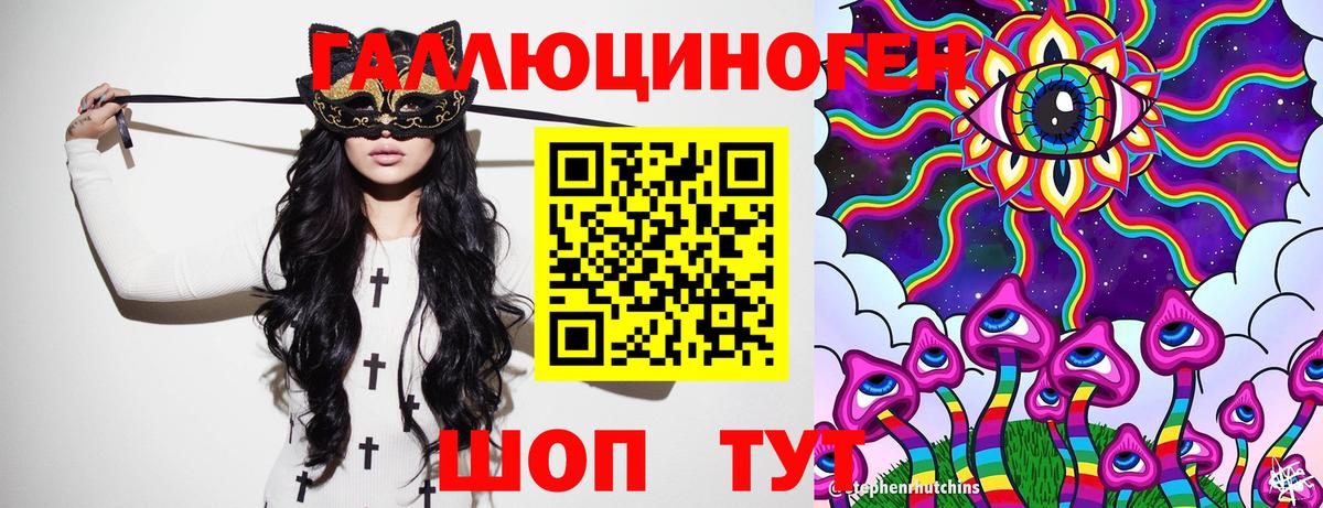 Псилоцибиновые грибы Psilocybine cubensis Кулебаки